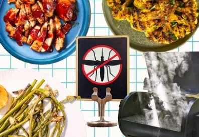 Bite-Free Barbecues: How to Keep Mosquitoes Off the Guest List This Summer