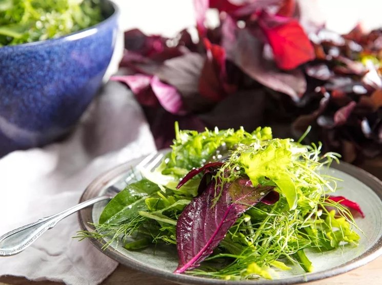 Spring Forward: A Celebration of Seasonal Salads